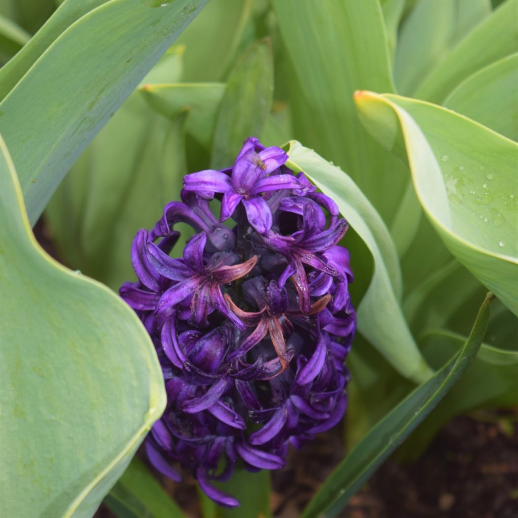 Discover the Top Hidden Gem Games You Havent Played Yet